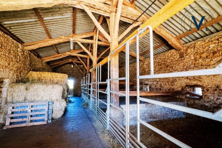 Photos 13 - Équestre - Propriété d’exception où le cheval est au cœur de la vie quotidienne proche de TOURNON D'AGENAIS (47)