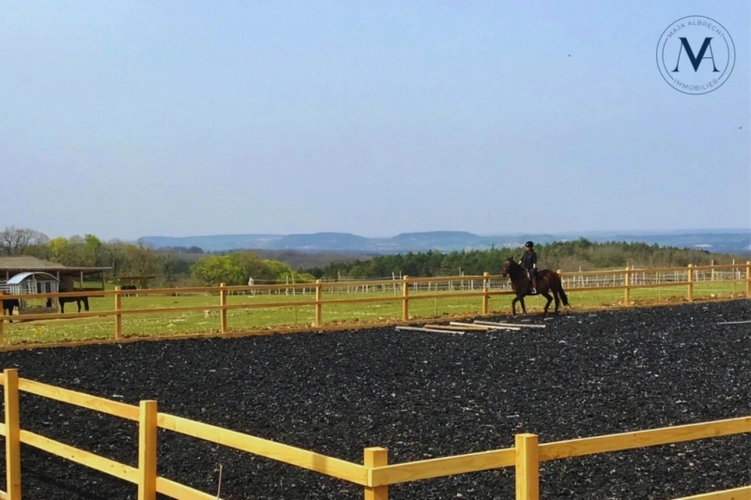 Photos 14 - Équestre - Propriété d’exception où le cheval est au cœur de la vie quotidienne proche de TOURNON D'AGENAIS (47)
