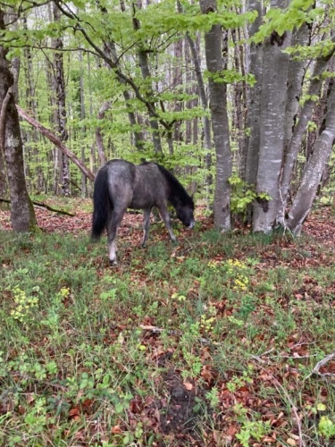 Photos 4 - Agricole - Domaine