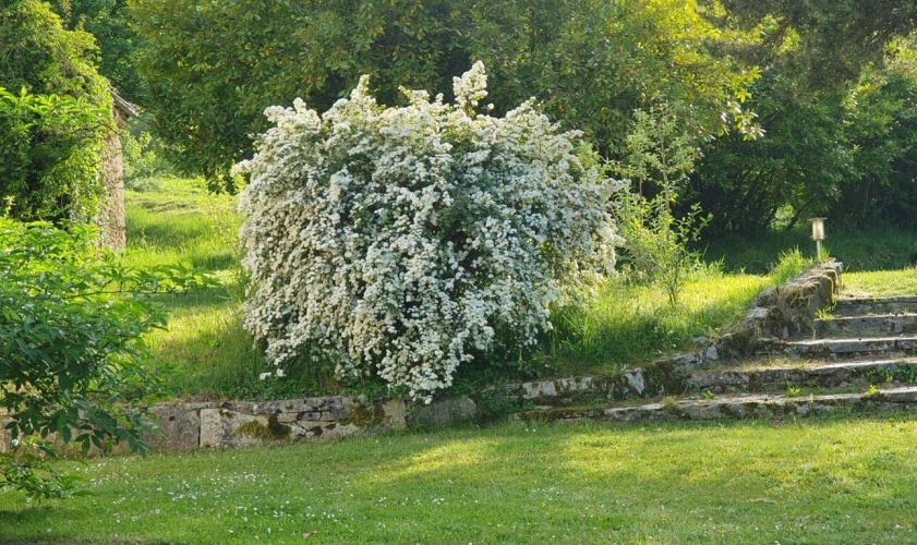 Photos 8 - Agricole - Domaine