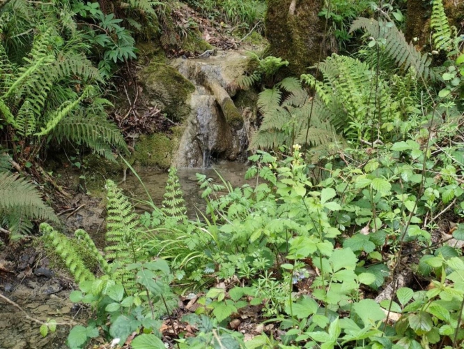 Photos 18 - Agricole - Domaine