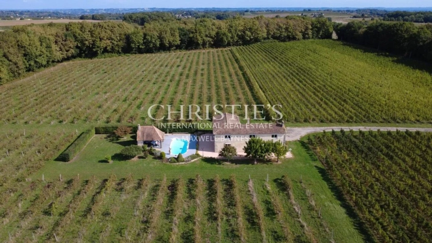 Photos 2 - Viticole - Maison de charme avec piscine au cœur des vignes