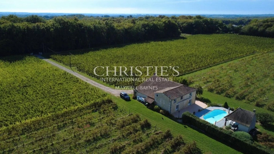 Photos 4 - Viticole - Maison de charme avec piscine au cœur des vignes