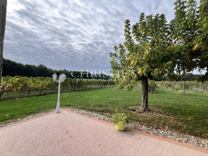 Photos 22 - Viticole - Maison de charme avec piscine au cœur des vignes