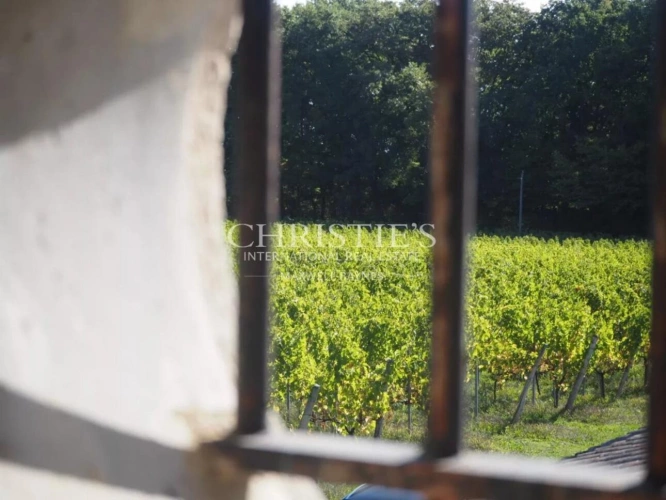 Photos 23 - Viticole - Maison de charme avec piscine au cœur des vignes