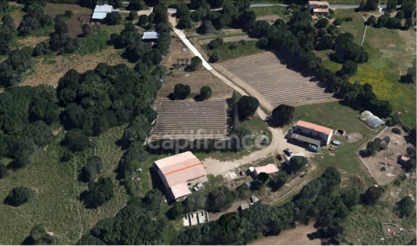 Photos 2 - Agricole - EXCLUSIVITE : Proche de L'ILE ROUSSE, Plaine du Reginu,  propriété en pierres T5 158 m² sur 1.96 ha de terrain