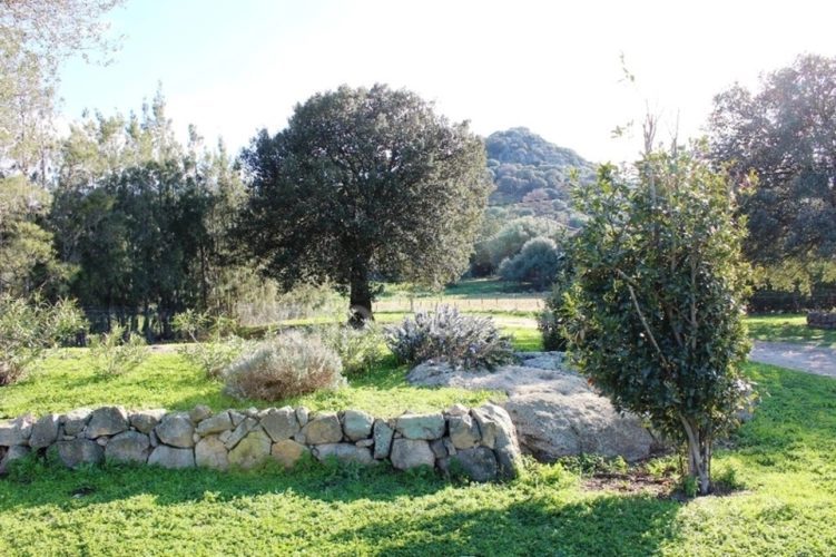 Photos 6 - Agricole - EXCLUSIVITE : Proche de L'ILE ROUSSE, Plaine du Reginu,  propriété en pierres T5 158 m² sur 1.96 ha de terrain