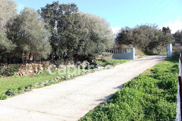 Photos 12 - Agricole - EXCLUSIVITE : Proche de L'ILE ROUSSE, Plaine du Reginu,  propriété en pierres T5 158 m² sur 1.96 ha de terrain