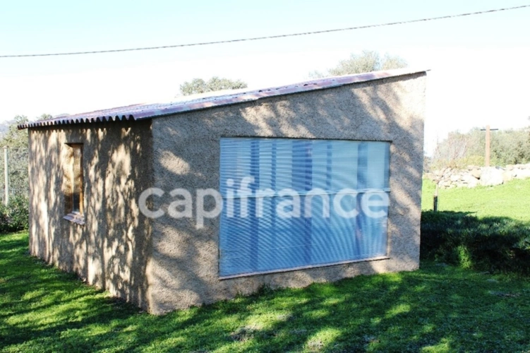 Photos 13 - Agricole - EXCLUSIVITE : Proche de L'ILE ROUSSE, Plaine du Reginu,  propriété en pierres T5 158 m² sur 1.96 ha de terrain