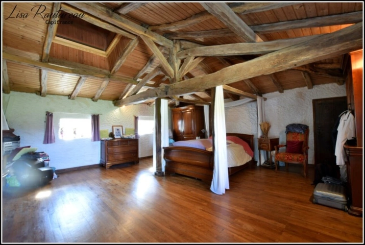 Photos 14 - Touristique - Domaine d'exception - CHAVAGNES EN PAILLERS (85) - 2 maisons d'habitations ainsi que 2 gîtes avec piscine