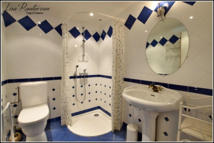 Photos 29 - Touristique - Domaine d'exception - CHAVAGNES EN PAILLERS (85) - 2 maisons d'habitations ainsi que 2 gîtes avec piscine