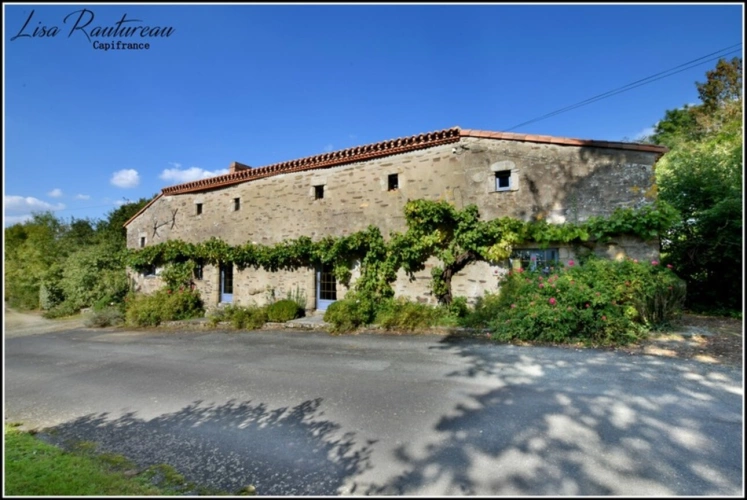 Photos 35 - Touristique - Domaine d'exception - CHAVAGNES EN PAILLERS (85) - 2 maisons d'habitations ainsi que 2 gîtes avec piscine