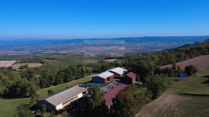 Photos 1 - Agricole - Ovins / Caprins
