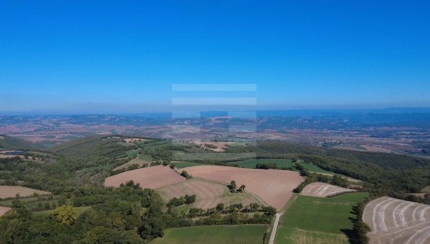 Photos 2 - Agricole - Ovins / Caprins