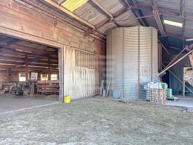 Photos 6 - Agricole - Ovins / Caprins