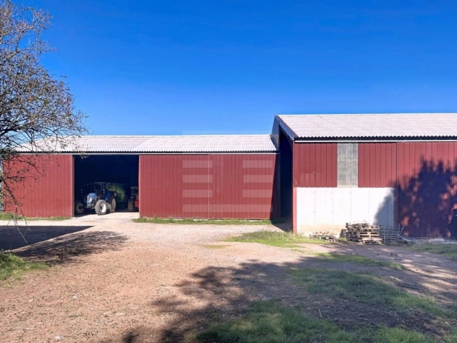Photos 7 - Agricole - Ovins / Caprins