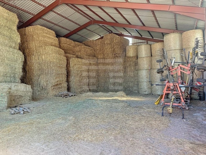 Photos 8 - Agricole - Ovins / Caprins