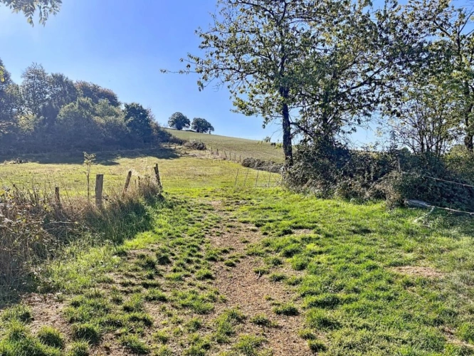 Photos 10 - Agricole - Ovins / Caprins