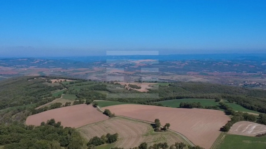 Photos 11 - Agricole - Ovins / Caprins