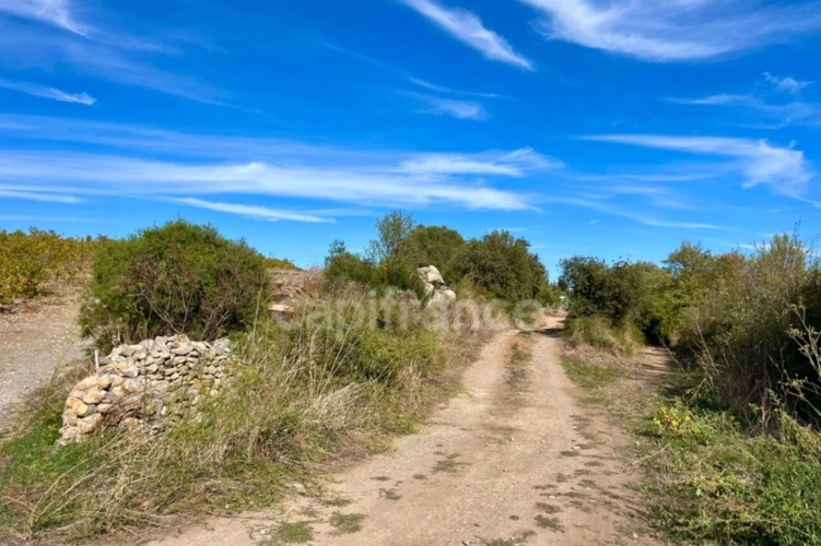 Photos 3 - Land - Agricultural plot AE mazet to be rebuilt