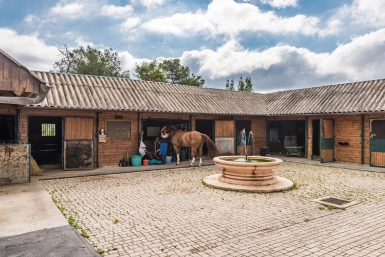 Photos 11 - Equestrian - House