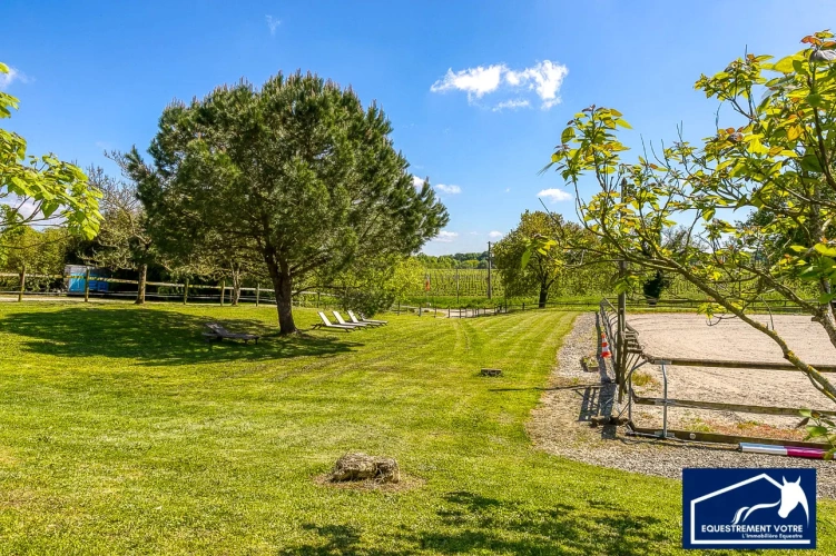 Photos 6 - Equestrian - Superbe Propriéte D'élevage