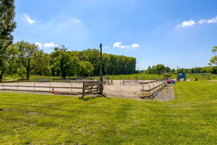 Photos 8 - Equestrian - Superbe Propriéte D'élevage