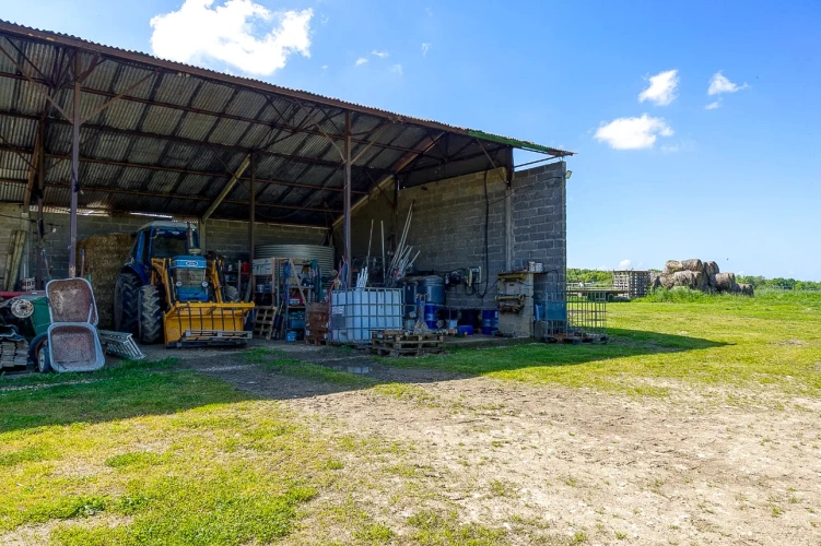 Photos 10 - Equestrian - Superbe Propriéte D'élevage