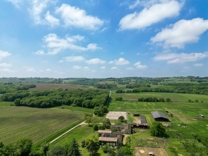 Photos 11 - Equestrian - Superbe Propriéte D'élevage
