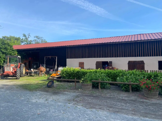 Photos 3 - Equestrian - Propriété équestre à fort potentiel