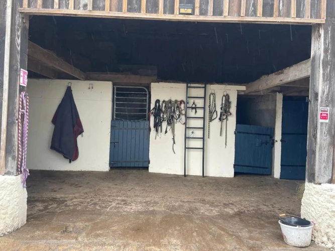 Photos 8 - Equestrian - Propriété équestre à fort potentiel
