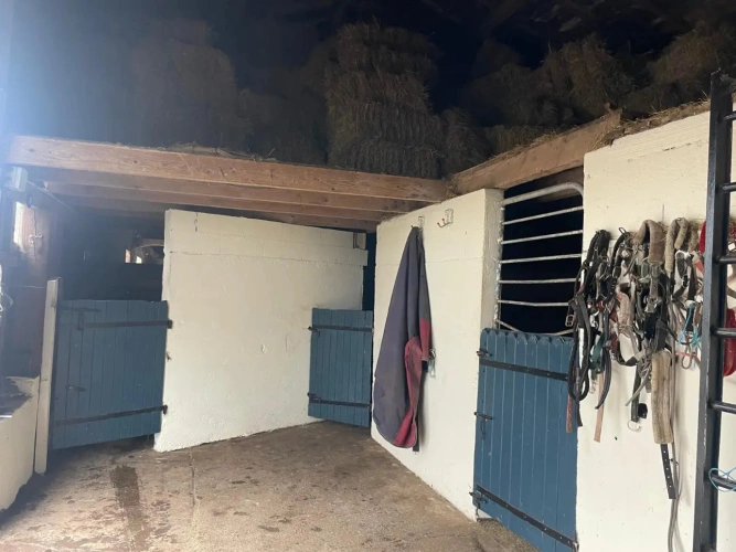 Photos 9 - Equestrian - Propriété équestre à fort potentiel