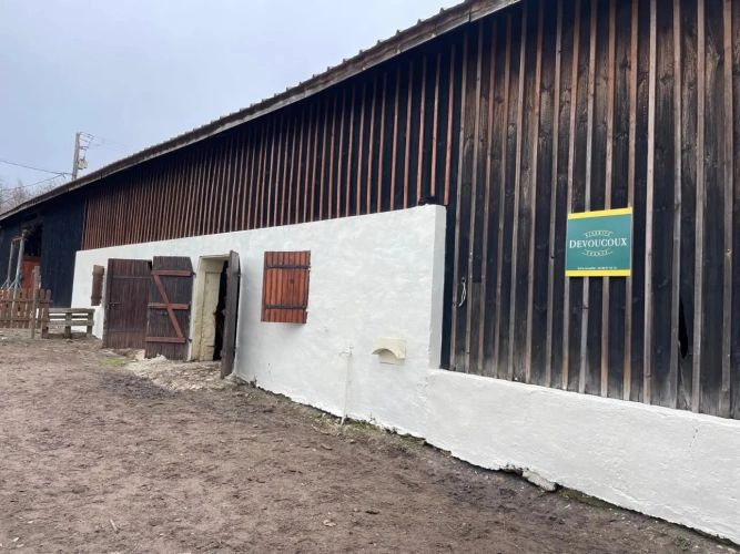 Photos 10 - Equestrian - Propriété équestre à fort potentiel