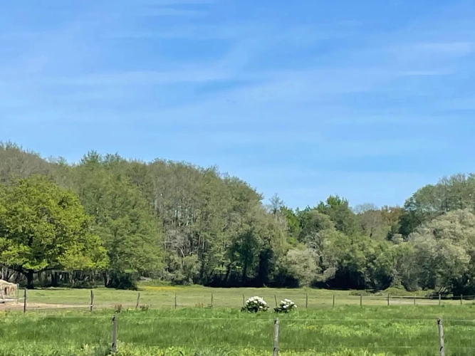 Photos 13 - Equestrian - Propriété équestre à fort potentiel