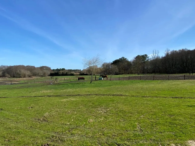 Photos 14 - Equestrian - Propriété équestre à fort potentiel