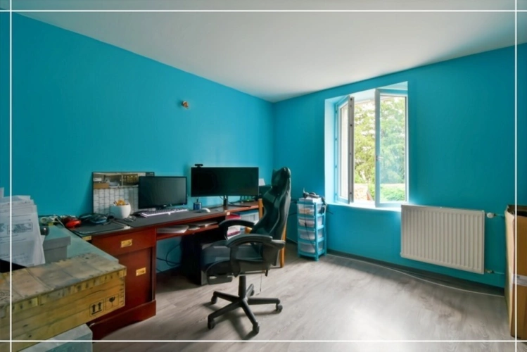 Photos 16 - Touristique - Proprieté comprenant 2 maison et 1 appartement CHATEAUMEILLANT (18)