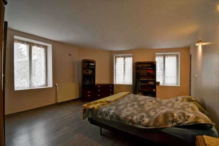 Photos 17 - Touristique - Proprieté comprenant 2 maison et 1 appartement CHATEAUMEILLANT (18)