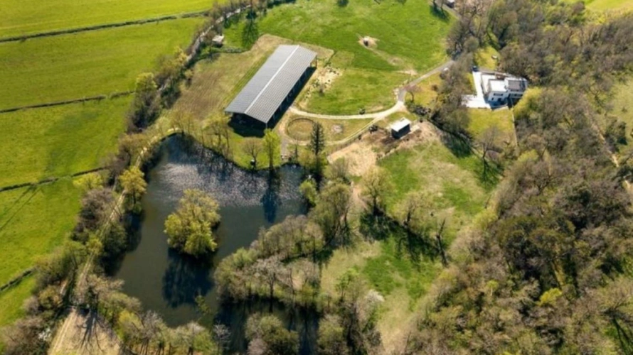 Photos 2 - Équestre - Propriété équestre d'exception en Haute-Garonne (31)