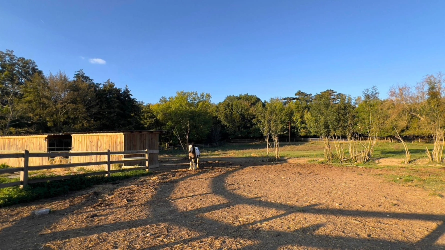 Photos 10 - Équestre - Propriété équestre d'exception en Haute-Garonne (31)