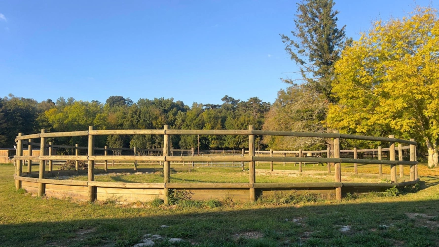 Photos 11 - Équestre - Propriété équestre d'exception en Haute-Garonne (31)