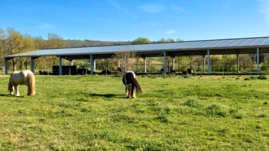Photos 13 - Équestre - Propriété équestre d'exception en Haute-Garonne (31)