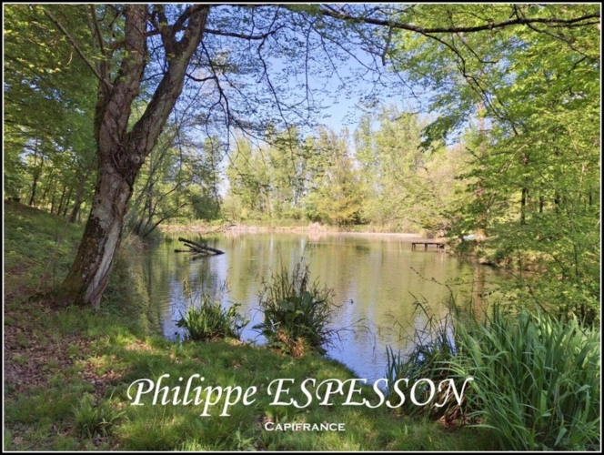 Photos 2 - Prestige - MAGNIFIQUE DOMAINE AVEC UN PARC DE 14000 M2 A BEAUPUY (47)