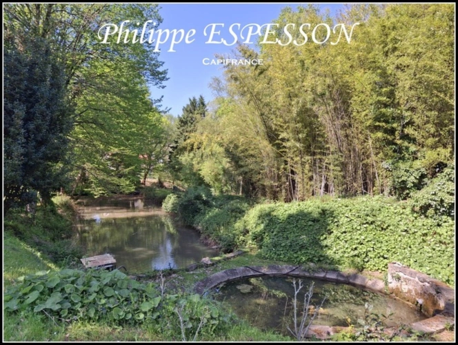 Photos 4 - Prestige - MAGNIFIQUE DOMAINE AVEC UN PARC DE 14000 M2 A BEAUPUY (47)
