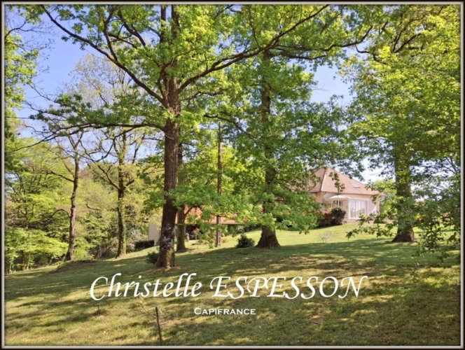 Photos 6 - Prestige - MAGNIFIQUE DOMAINE AVEC UN PARC DE 14000 M2 A BEAUPUY (47)