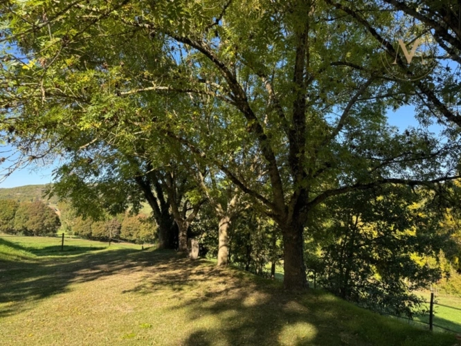 Photos 15 - Équestre - À vendre, belle propriété équestre avec maison en pierre, grange aménageable et lac privatif, sur 2,5 hectares de terrain, à deux pas de Courbiac