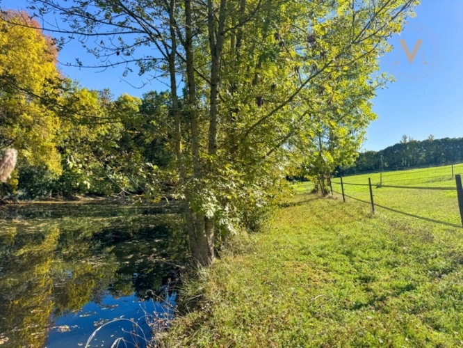 Photos 16 - Équestre - À vendre, belle propriété équestre avec maison en pierre, grange aménageable et lac privatif, sur 2,5 hectares de terrain, à deux pas de Courbiac