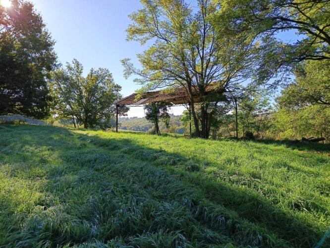 Photos 6 - Foncière - Terrain agricole