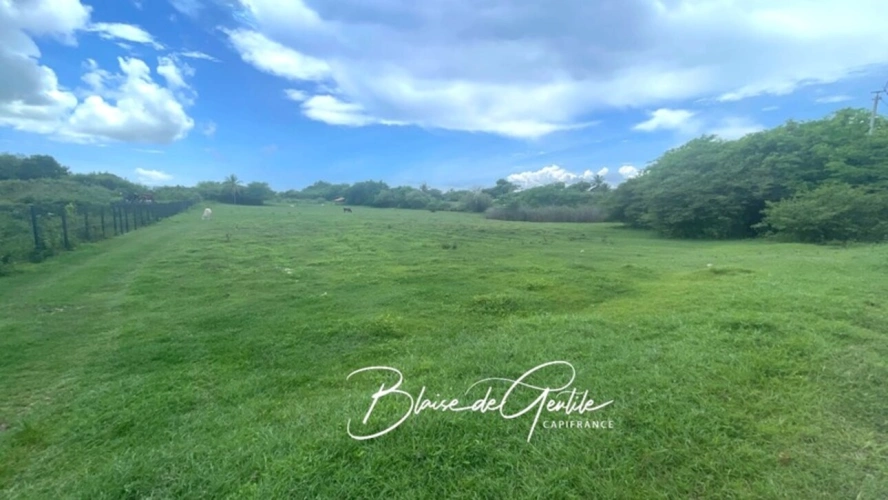 Photos 1 - Foncière - Terrain agricole  à vendre  LE MOULE (971)