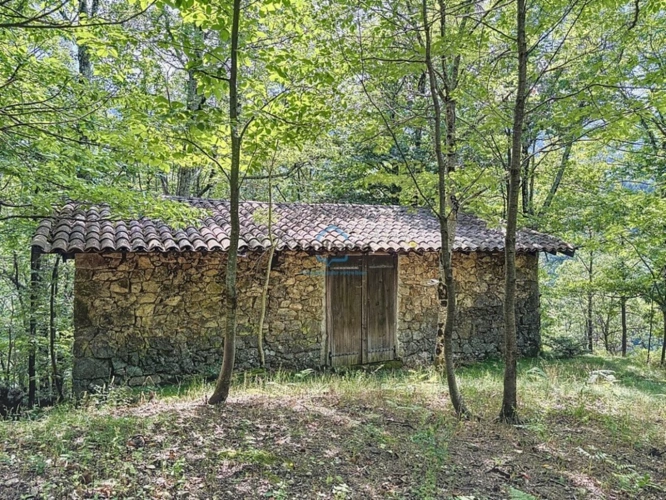 Photos 2 - Foncière - Propriété agricole avec 4 granges - 16 ha de terrains - LABOULE (07)