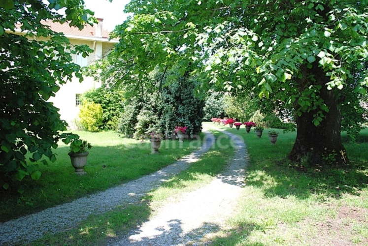 Photos 5 - Prestige - Maison de Maitre-dépendances-parc de 1,2 ha-Hypercentre de SALLES (33)